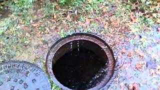 Draining the Backyard