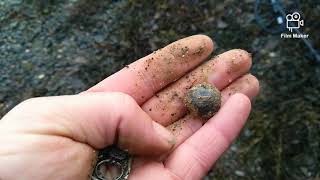 Equinox 600 metal Detecting Ireland