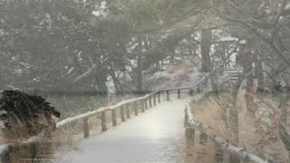雪の松島 冬景色の歩き方（宮城県 日本三景松島）
