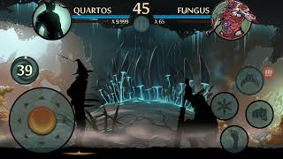 Shadow Fight 2 RAID HACK