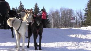 HSM Outdoors-Minnesota Darkhouse and Angling Association