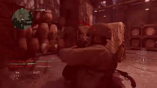 Reichsrevolver dual run