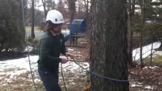 Basil anchor with rig