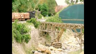 Narrowgauge Modeling Festival 5