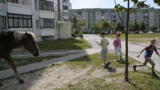 Bobruisk ist die beste Stadt in der  Welt