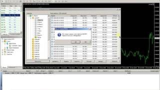 Скачать архив котировок для Metatrader без разрывов