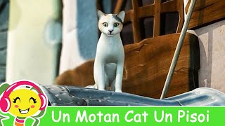 Un Motan Cat Un Pisoi - Cantece Gradinita .ro