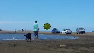 Samsun Köpek Eğitim merkezi  (eğitimle gelen bazi öğrencilerimizin videoları )