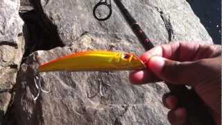 Yo-Zuri Mag Darter