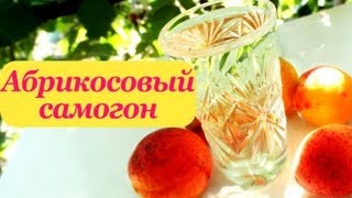Самогон из абрикос. Абрикосовый шнапс. Рецепт самогона.