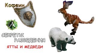 [ArcheAge] Разведение Ятт и Медведей (подробно)
