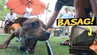 NILAPA NG ASO GOPRO KO. BASAG! (Back in Atimonan, Quezon)