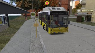 OMSI 2-Temsa Avenue LF 12|Logitech G 29
