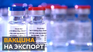 Российская вакцина против COVID-19 может появиться в СНГ