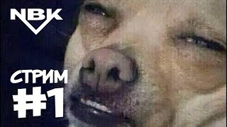 Тату обучение на диване. NBK стрим #1 (список вопросов в описании)