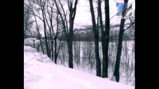 Авторская программа Алёны Клеймёновой «МЕЖДУРЕЧЕНСК»