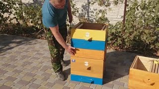 МОИ 12 РАМОЧНЫЕ УЛЬЯ+ МАГАЗИНЫ  НА 145 РАМКУ MY 12 frame beehive + store on 145 FRAME