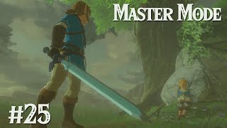 ZELDA OPENS UP: BotW MASTER MODE #25