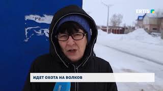 ИДЕТ ОХОТА НА ВОЛКОВ