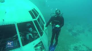 Diving into aircraft under sea in Jordan
