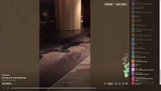INSIDE DELANO  LIVE PERISCOPE LAS VEGAS SHOOTING VIDEOS