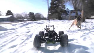 RC/Dog Chase