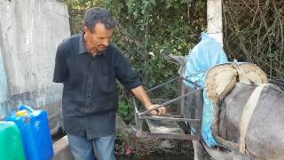 La fontaine de Djurdjura