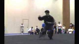 Wah Lum Tam Tui Northern Praying Mantis Kung Fu