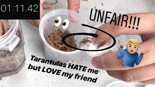 Mr. Feet rehouses 6 TARANTULAS in JUST over ONE MINUTE like it’s nothing ~ UNFAIR !!! (feat.  Xena)