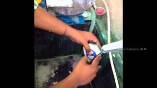 Chettinad  Articulation demo
