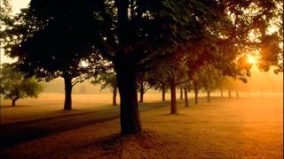 "Breaking The Last Sunrays" - Petteri Sainio (Beautiful Instrumental)