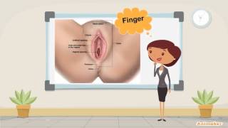 kegel exercise
