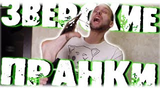 ЗВЕРСКИЕ ПРАНКИ
