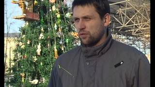 Ёлки в городе