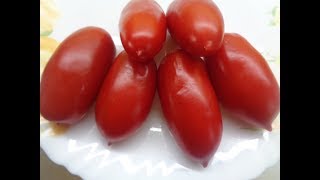 ТОМАТ ДАМСКИЙ ПАЛЬЧИК - КЛАССИЧЕСКИЙ ЗАСОЛОЧНЫЙ СОРТ. Ольга Чернова.