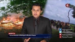 Rohingya Daily News 01 September 2017