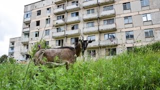 У селищі Цукроварів пустують майже 800 квартир