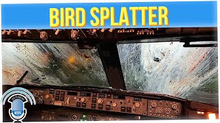 Pilots Land Plane Safely After Hitting Huge Flock of Birds (Walter Hong)