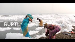India: Hindu believers observe Chhath Puja in Delhi's Yamuna river despite toxic foam