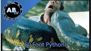 60 Foot Python!!!! SnakeBytesTV : AnimalBytesTV