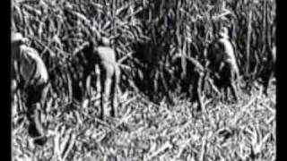 Sobre la Homosexualidad en Cuba