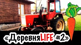 ДеревняLIFE #2. Мотоблок Нева МБ-23. Трактор Т 25. Бузульник Медонос