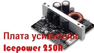 Усилитель icepower250a с Алиэкспресс