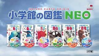 くらべる図鑑　新版　TVCM