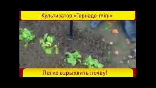 Культиватор Торнадо мини купить в Украине