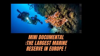 DIVING THE LARGEST MARINE RESERVE IN EUROPE