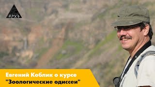 Евгений Коблик| Курс "Зоологические одиссеи"
