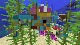 Rainbow Fish in Minecraft 1.13