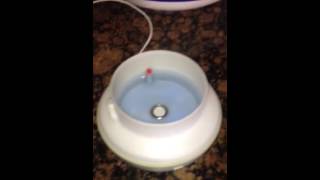 When your diffuser stops working