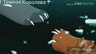 Коты воители клип - Darkside (Заказ) Ч.О